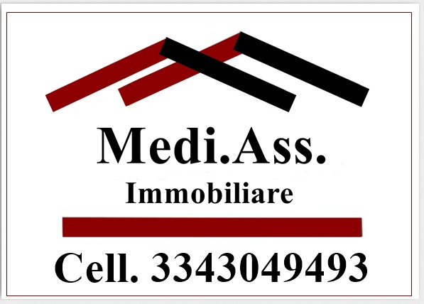 Logo mediass virtual orizzontale